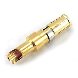 Dutinka FCT FMP006204